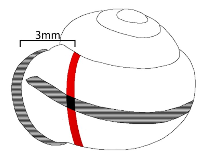 A drawing of a face

Description automatically generated